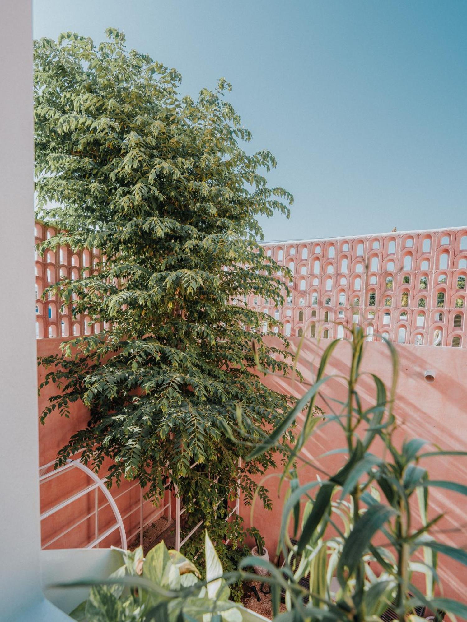 Casa Amate 61 Boutique Hostel Mérida Eksteriør bilde